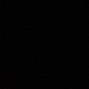 Meet your Posher, Dale